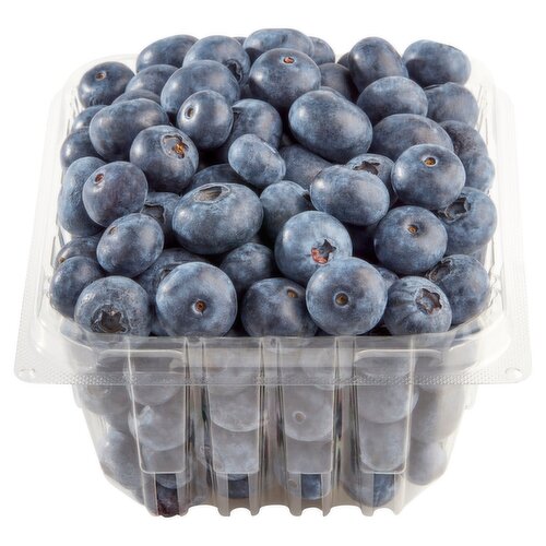 BC BLUEBERRIES [311 g]