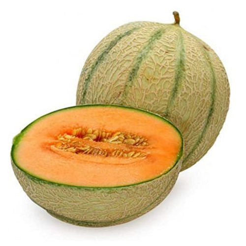 MUSK MELON