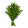 BUNCH BABY DILL (BC) [1 ea]