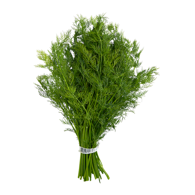 BUNCH BABY DILL (BC) [1 ea]