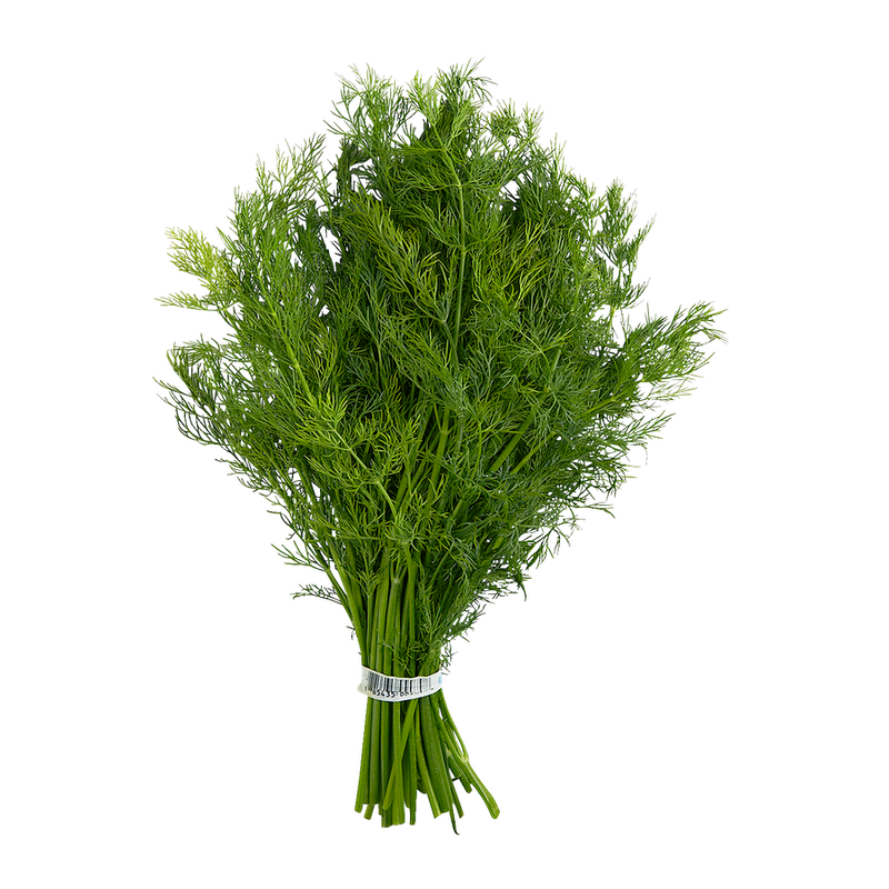 BUNCH BABY DILL (BC) [1 ea]