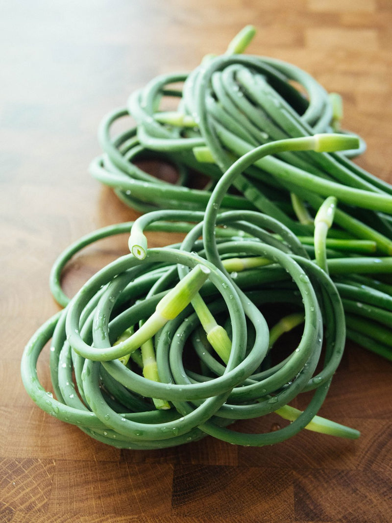 GARLIC SCAPE