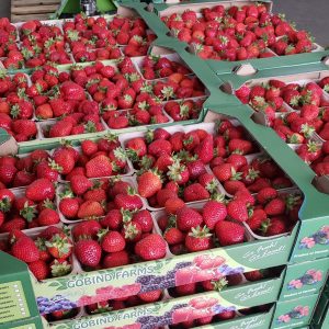 GOBIND STRAWBERRIES [1 PINT]