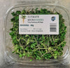 ULTIMATE BROCCOLI MICROGREENS [1 ea]