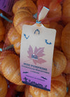 MINI PUMPKIN BAG [6 pcs]