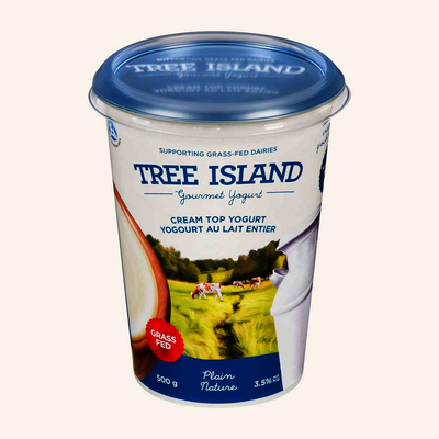 TREE ISLAND PLAIN CREAM TOP [500 G]