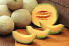 CANTALOUPE [1 EACH]