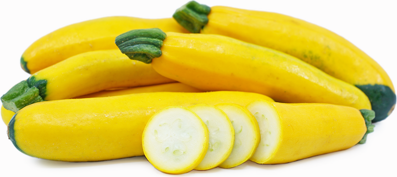 YELLOW ZUCCHINI (BC)