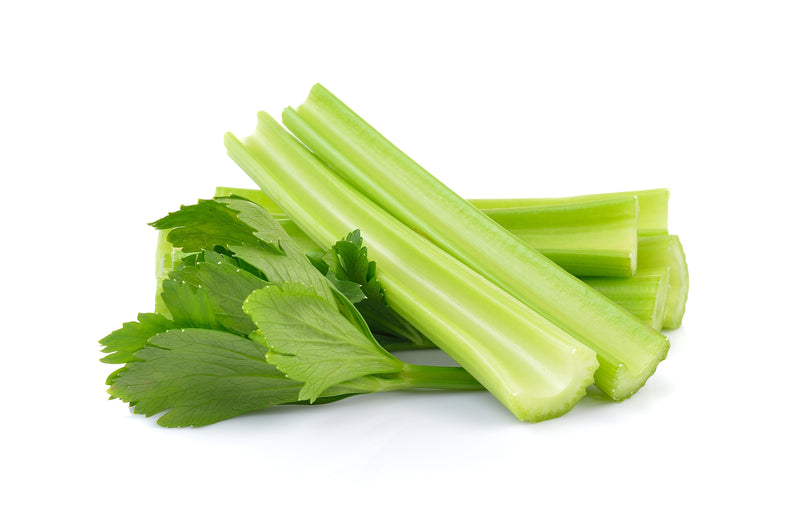CELERY STICKS