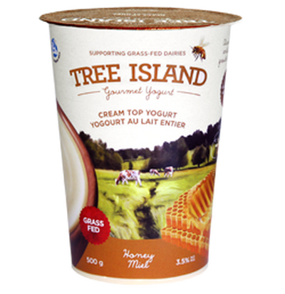 TREE ISLAND HONEY CREAM YOGURT [500 G]