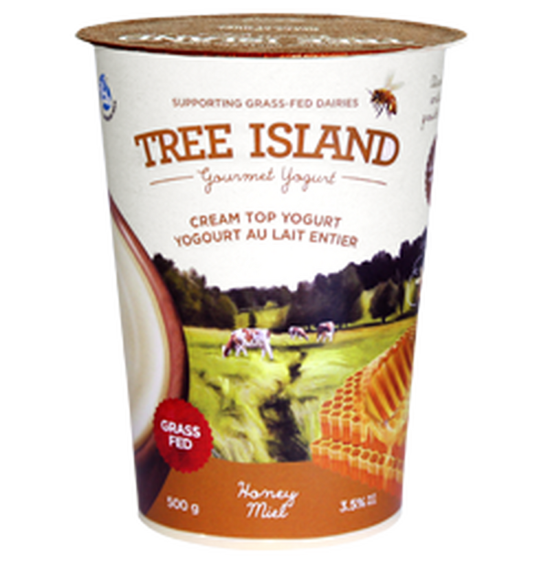 TREE ISLAND HONEY CREAM YOGURT [500 G]