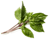 GREENWAY FARMS THAI BASIL [114 g]