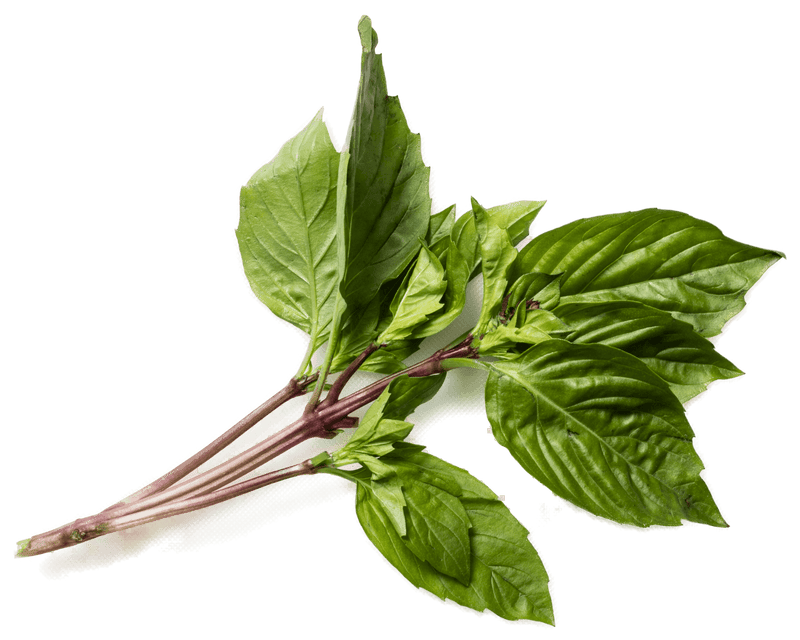 GREENWAY FARMS THAI BASIL [114 g]