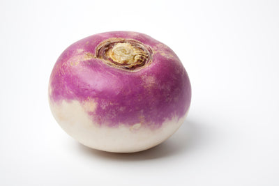 PURPLE TOP TURNIP