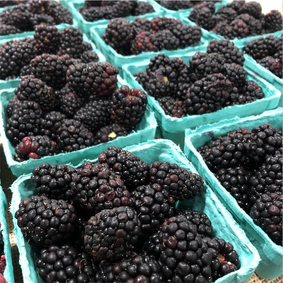 GOBIND FARM BLACKBERRIES [1 PINT]