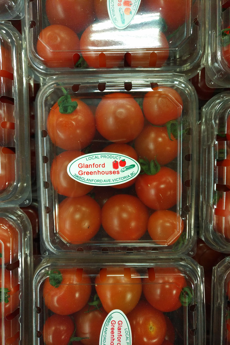 GLANFORD GREENHOUSE CHERRY TOM [1 pint]