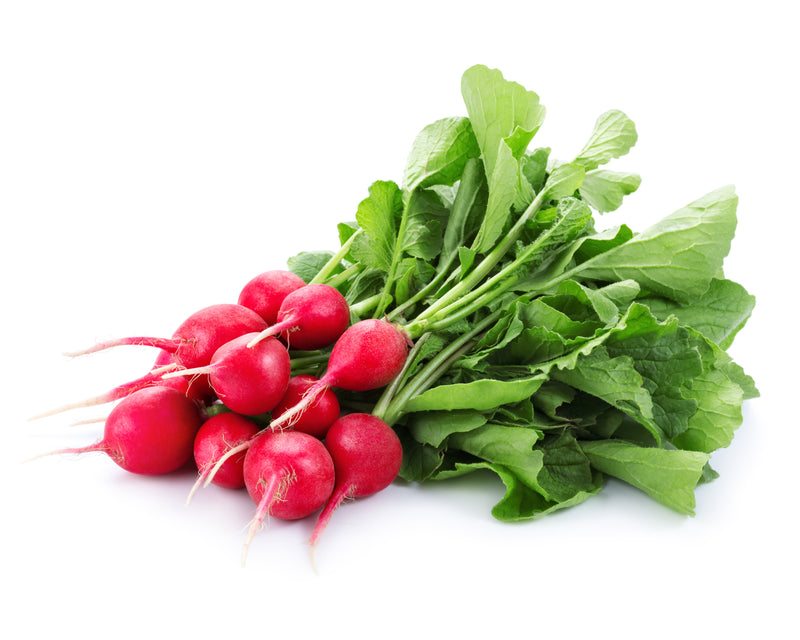 BUNCH RADISH [1 BUNCH]