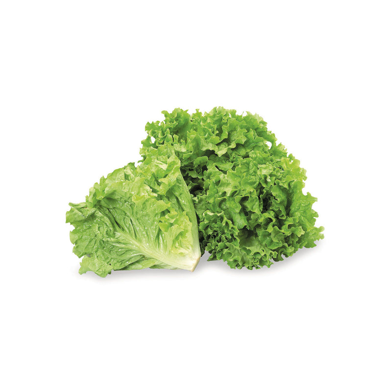 ORG GREEN LEAF [1 EACH]