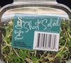 SIDNEY MICROGREEN SHOOT SALAD [1 ea]