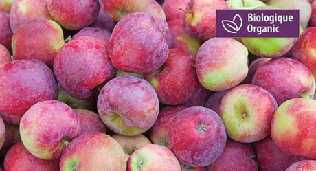 ORGANIC SPARTAN APPLE (BC)