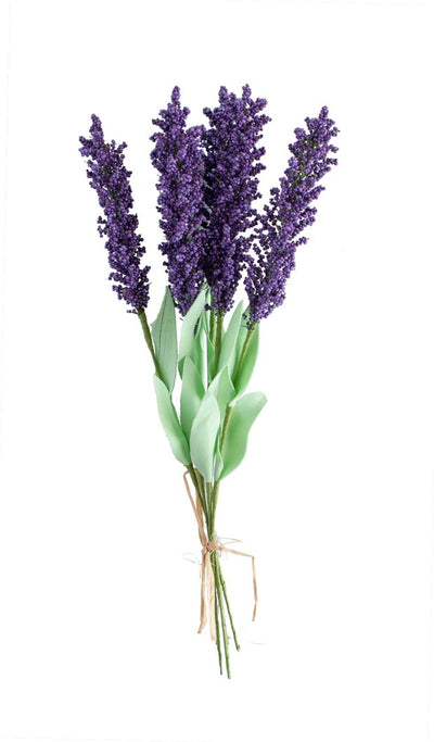 LAVENDER (LOCAL) [1 ea]