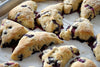 BLUEBERRY SCONE, 1 ea