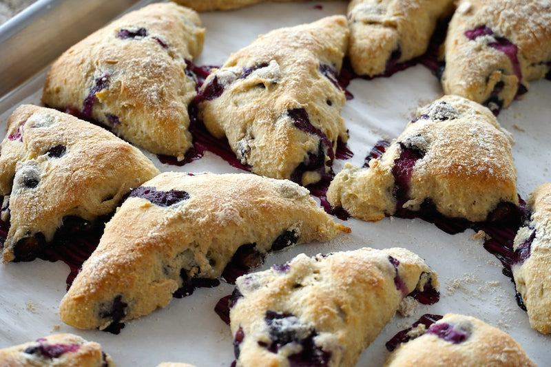BLUEBERRY SCONE, 1 ea