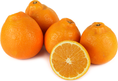 MINNEOLA TANGELOS (US)