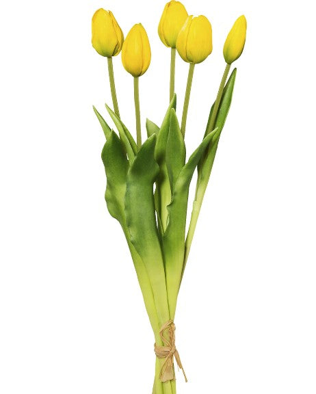 FLOWERS Tulips, 1 bunch (5)