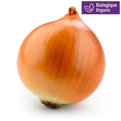 ORGANIC MEDIUM ONIONS