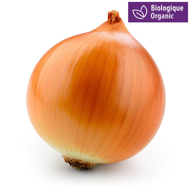 ORGANIC MEDIUM ONIONS