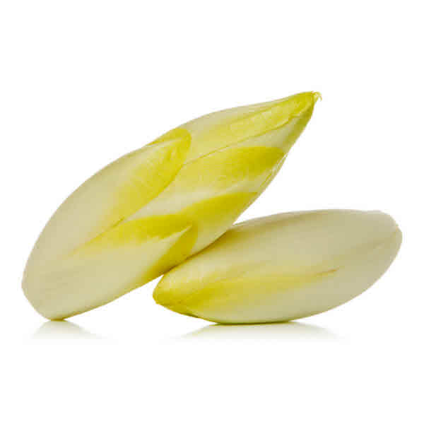 BELGIAN ENDIVE (BC)