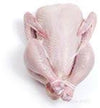 CORNISH GAME HENS (frozen)