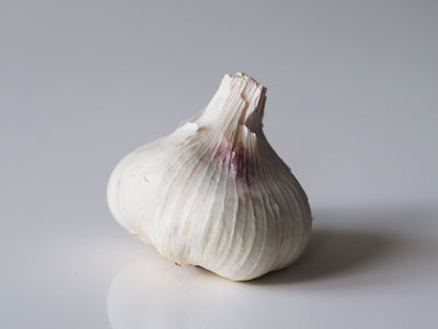 GARLIC