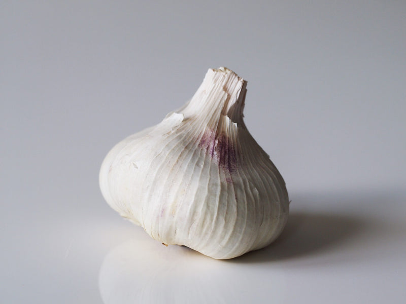 GARLIC