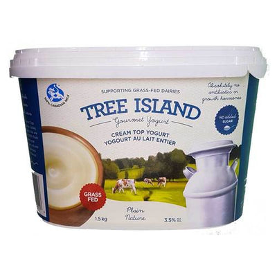 TREE ISLAND PLAIN CREAM YOGURT [1.5 KG]
