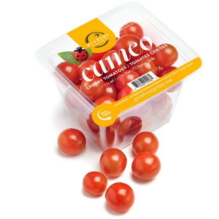 CAMEO CHERRY TOMATOES (BC) [283 G]