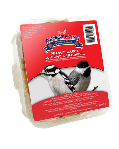 ARMSTRONG SUET PINENUT [320 g]