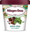 HAAGEN DAZS MINT CHOCOLATE [414 ml]