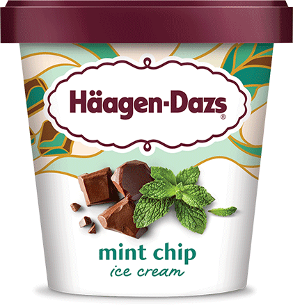 HAAGEN DAZS MINT CHOCOLATE [414 ml]
