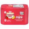 CANADA DRY MINI STRAW LEMONADE [6 PACK]