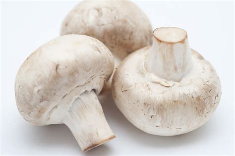 WHITE MUSHROOMS (BC)