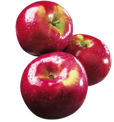 MCINTOSH APPLES