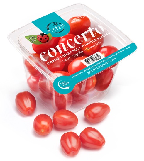 GRAPE TOMATOES [551 ML]