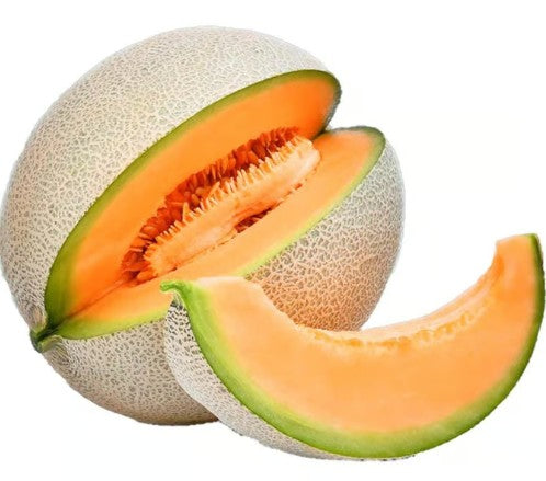 CANTALOUPE [1 ea]