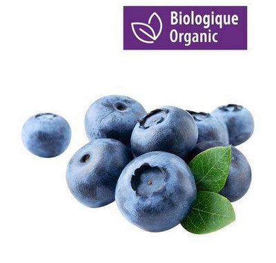 ORG BLUEBERRIES [170g]