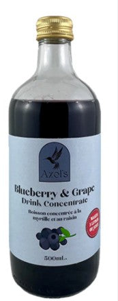 AXELS BLUEBERRY CONCENTRATE [500 ml]