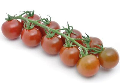 CABERNET CHERRY TOMATOES ON VINE