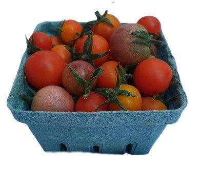 LONGVIEW ORGANIC CHERRY TOMATOES [1 pint]