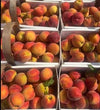 PEACHES BOX [5 lb]